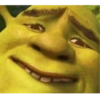 Sherk y burro 8