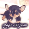 Socorro 25