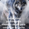 La mafia de los panchos 9