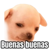 Buenas  9