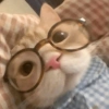 Cats Cute 🐱🥰 6