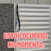 Festa PX 7