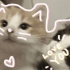 Cats Cute 🐱🥰 17