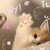 Cats Cute 🐱🥰 14