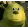 Sherk y burro 6
