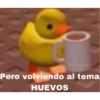 Miau 10