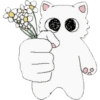 Miau miau core 10