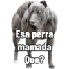 Sarcasmo 26