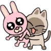 Miau miau core 20