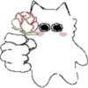 Miau miau core 9