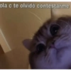 Anime Enamorado 14