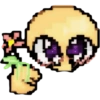 Miau miau core 17