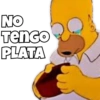 Perro y gato 23