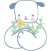 Miau miau core 16