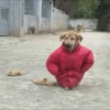 Random #3 13