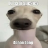 Quotes cute 21