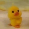 Animalitos 7