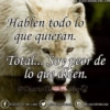 Sé un lobo 14