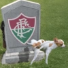 Cartola Brasileirão  10