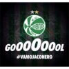 Cartola Brasileirão  9