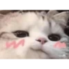 Dilo con Gatos 23