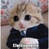 Dilo con Gatos 19