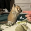Quotes cute 5
