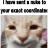 Silly cat memes 5