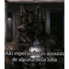 Sé un lobo 17