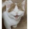 Hehe (2) 29