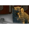* Reaction * 31