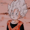 FIGURAS 24