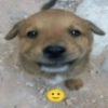 Shitposts part 2☑️☢️🎭$&# 20