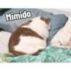 Dilo con Gatos 16