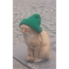 Dilo con Gatos 18