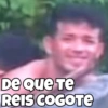 Perro y gato 22