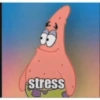 Patrick 11