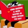 Manuel 28