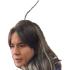 Manuel 17