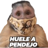 CHANGOS 1 28