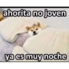 Yayamijoya 22