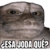 CHANGOS 1 12