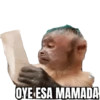 CHANGOS 1 25