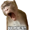 CHANGOS 1 24