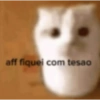 Psiu gatinha 🫦(é a treva)  12