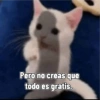 Yayamijoya 25