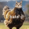 Meme random 5