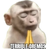 CHANGOS 1 11