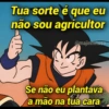 Bora 21