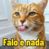 Minhas figurinhas  14